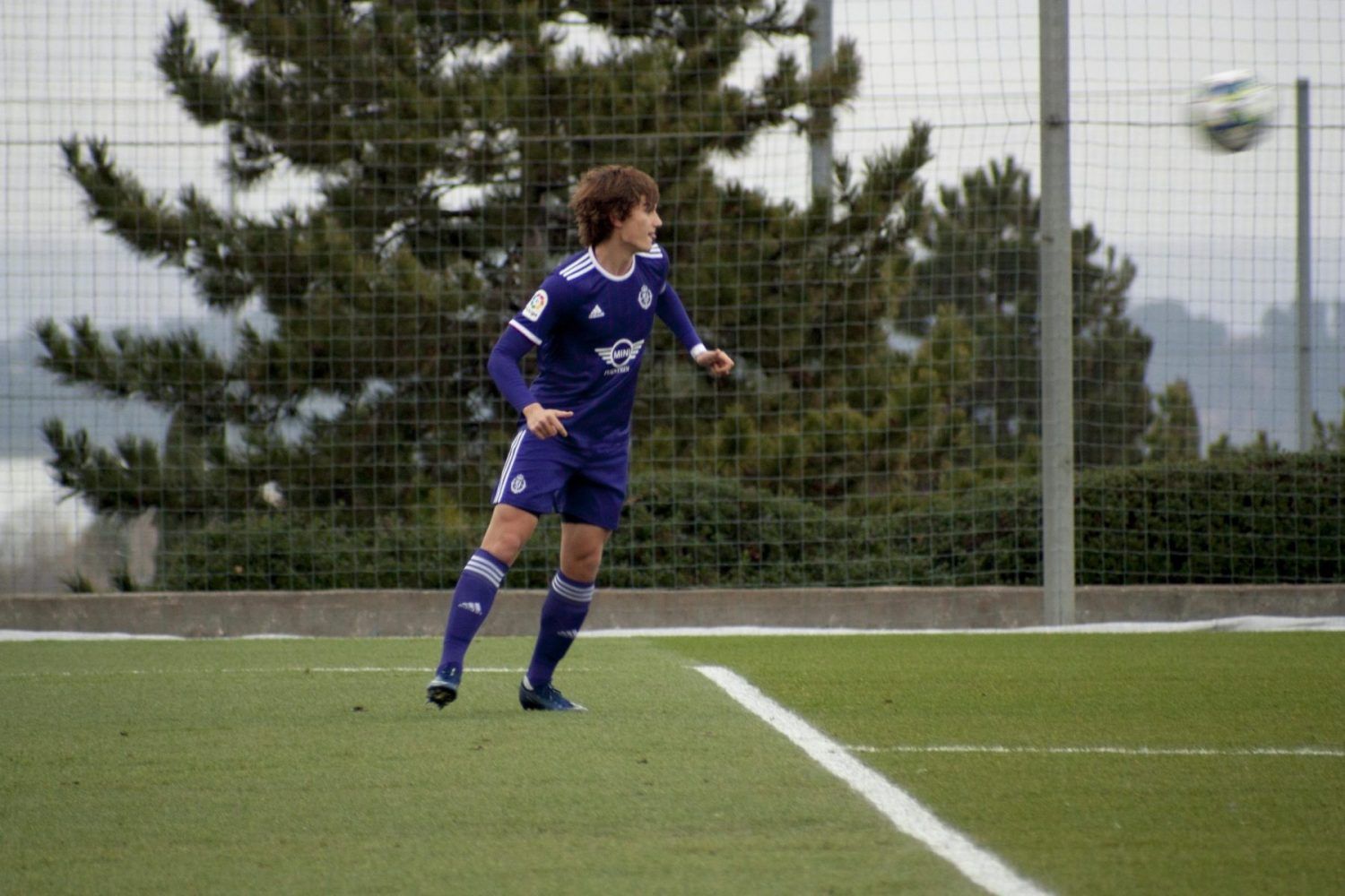 Gol
