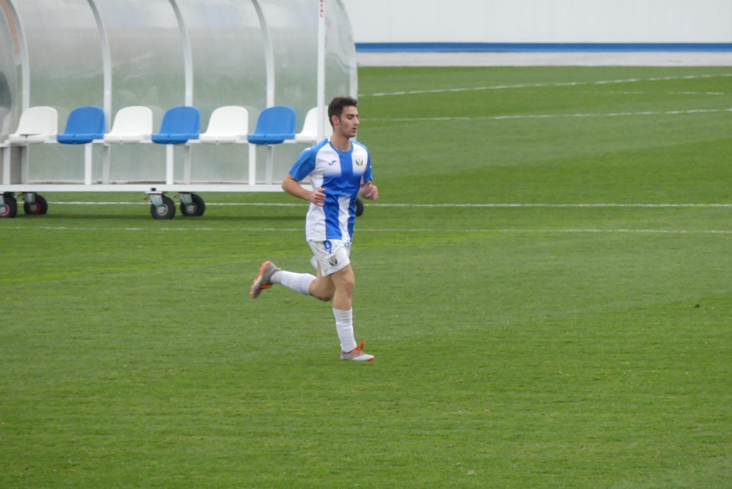 Gol