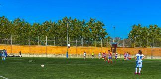 14ª Jornada
