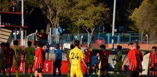 Empate insuficiente para el Adarve y Las Rozas