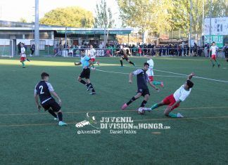 trival golea