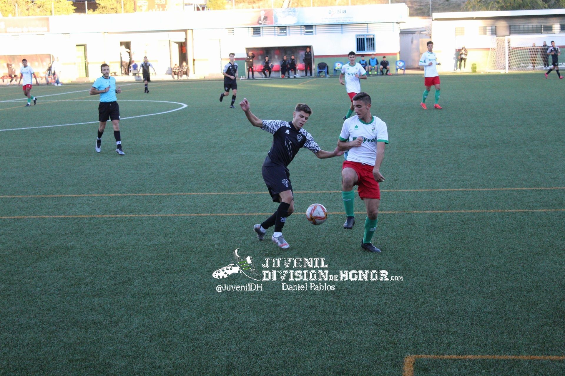 trival golea