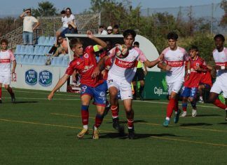 Un zarpazo de Sow saca al Sanse del descenso Numancia y Sanse empataron en un partido igualado