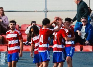 Jornada 25 DH4
