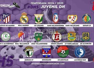 DH5: Previa Grupo 5 de la División de Honor 24/25 DH5