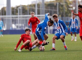 Damm Espanyol