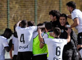 Tablas en Las Rozas